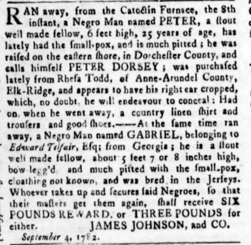 An 18th century advertisement for two runaway slaves