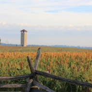 From a Place of Carnage to a Destination for Reflection: Antietam National Battlefield at 125