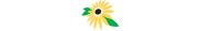 carroll-county-logo.png